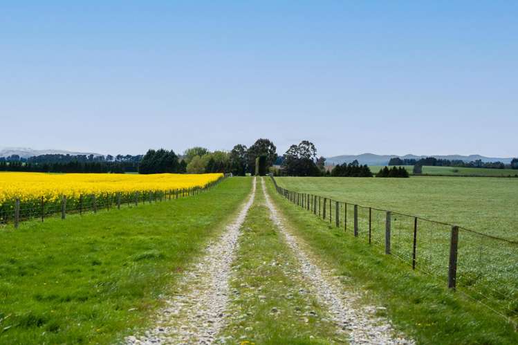 130 Warr Road Balfour_17