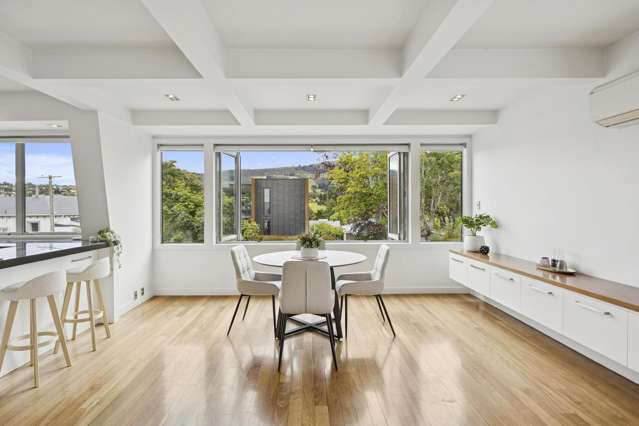 2 Grater Street Maori Hill_2