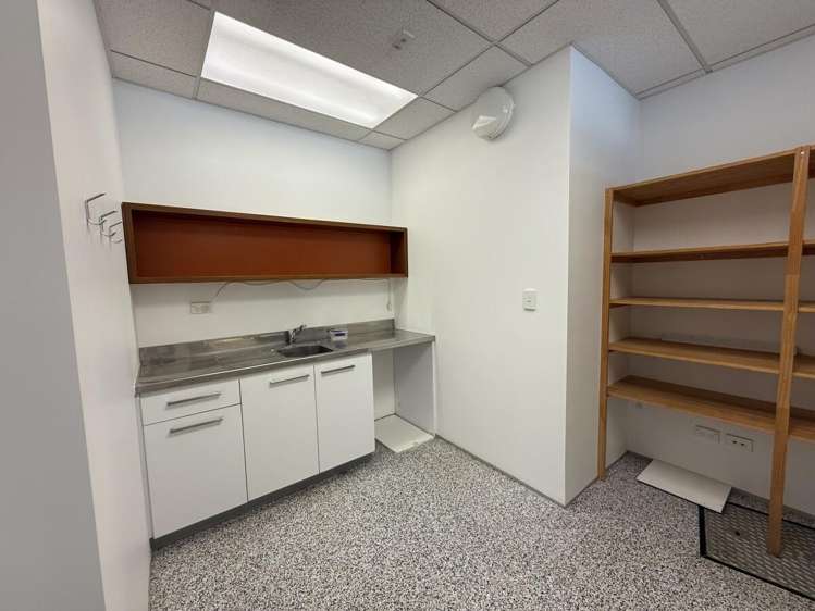 17 Maidstone Place Grey Lynn_9