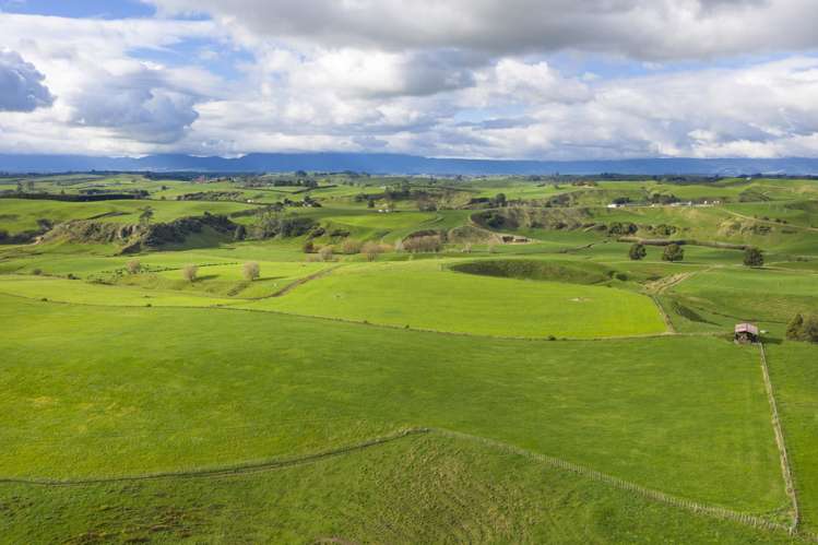 Piakonui Road Richmond Downs_23