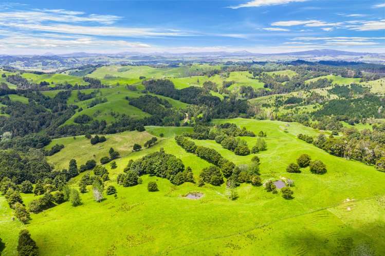 Norvil Road Titoki_10