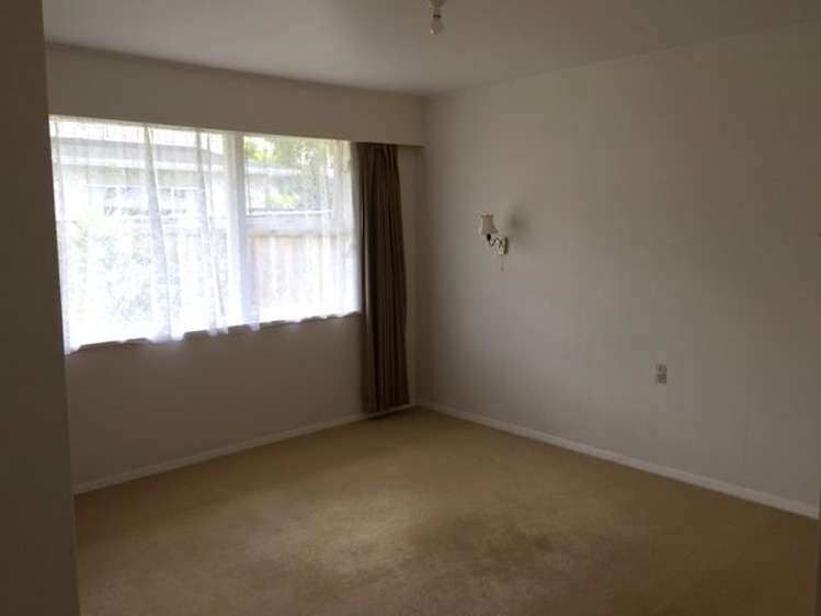 39 Alfred Street Nelson South_8