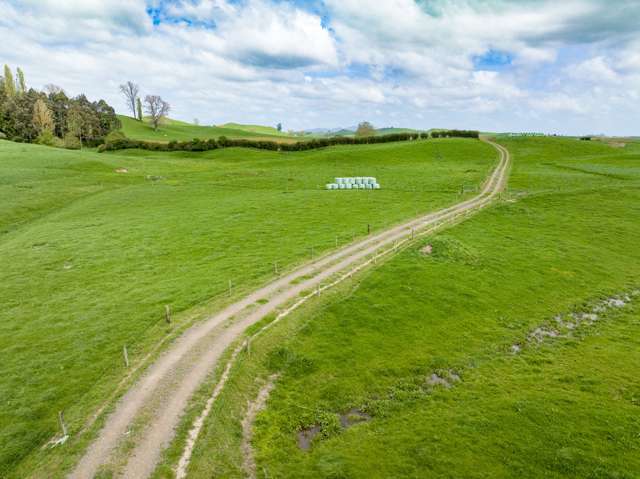 228 Pond Road Matamata_4