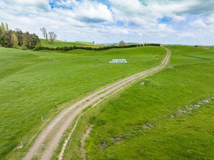 228 Pond Road Matamata_4