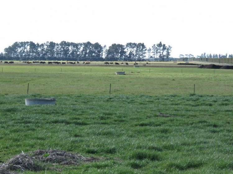 1035 Newland Road Clandeboye_6