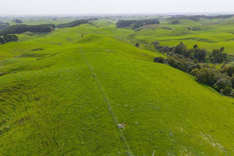 137 Zigzag Road Pohangina Valley_20