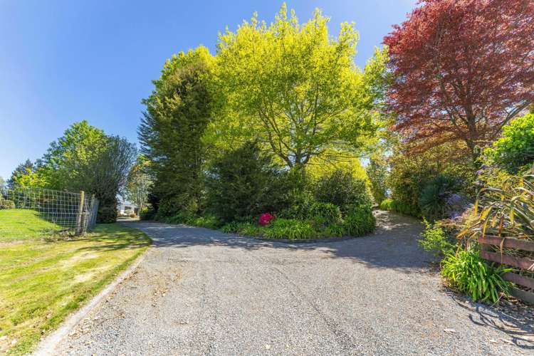 344 Palmer Mill Road Wairakei_24