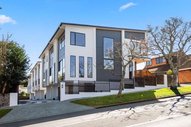 48 Campbell Road Onehunga_3