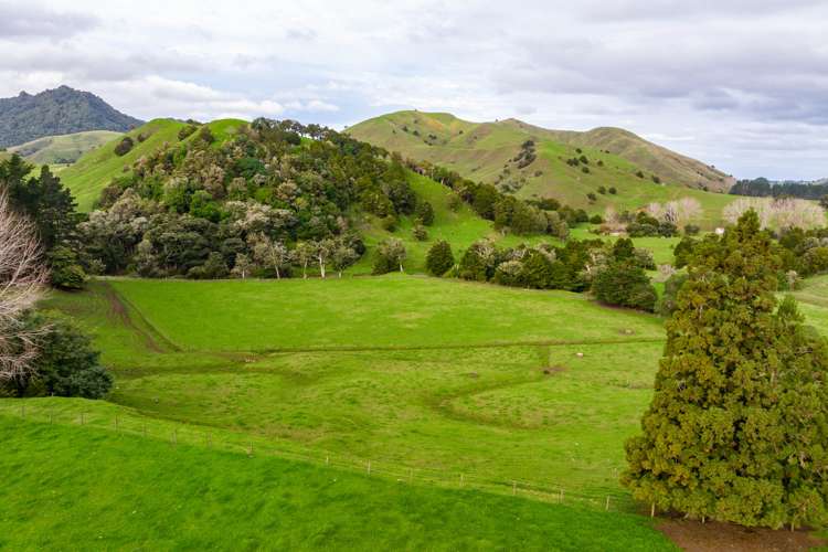 Omana Road Tangiteroria_5