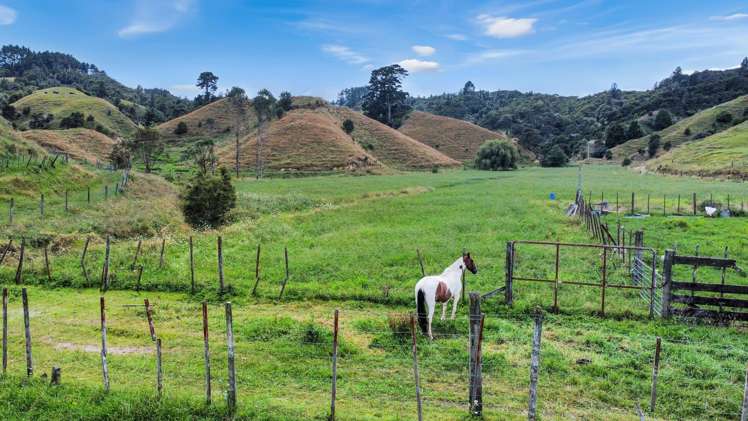 791B White Pine Bush Road Awakeri_47