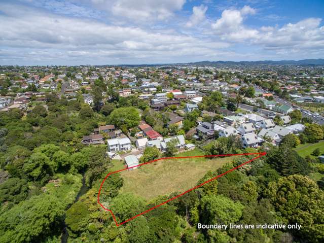 10a Blockhouse Bay Road Avondale_2