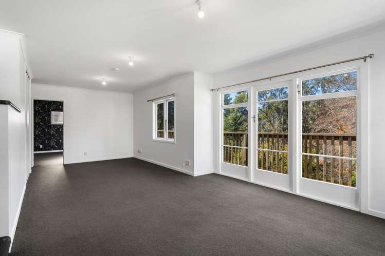 39 Thompson Terrace Toi Toi_6