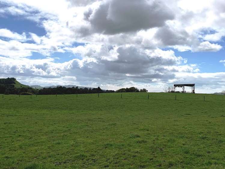 Maxwell Road Maramarua_17