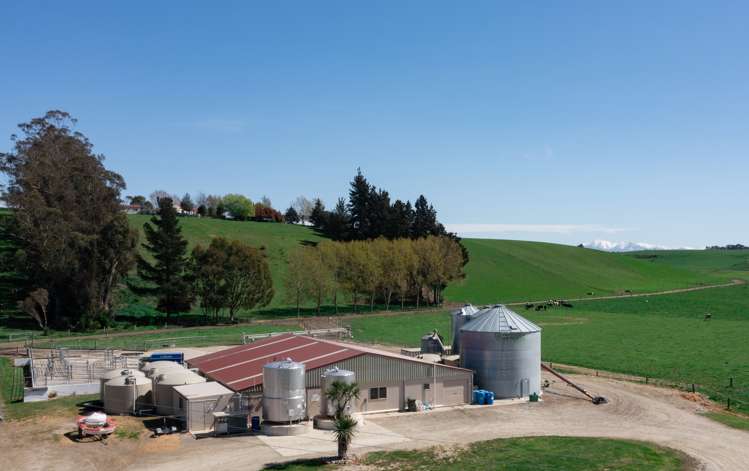 515 Kakanui Valley Road Five Forks and Surrounds_7