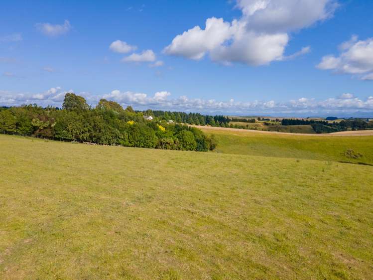 Rolling Ridges Road Timaru_6
