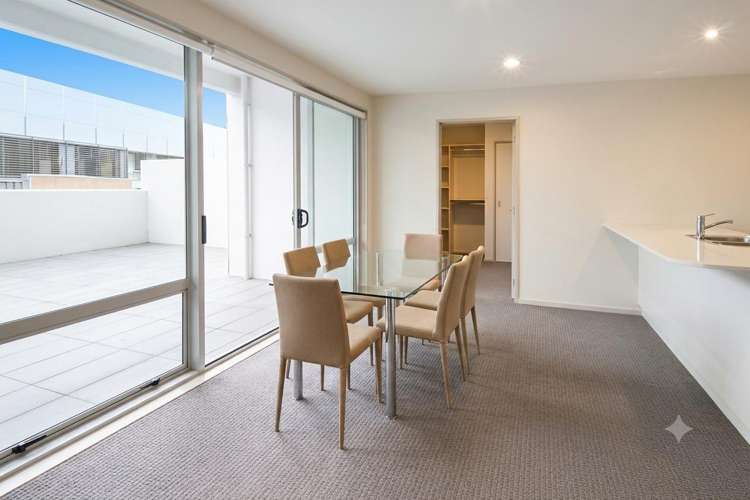 4J/16 Chapman St Grey Lynn_4