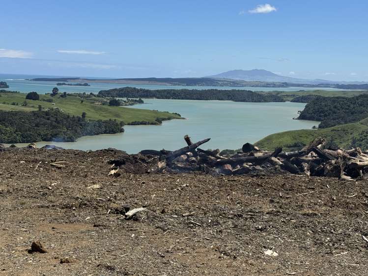 Lot 4 Brown Road Kawhia_22