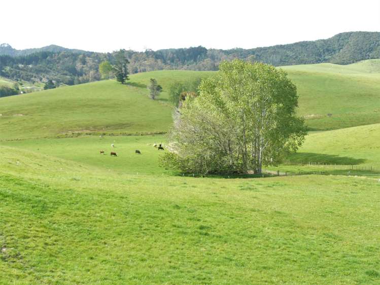 807 Puketona Road Haruru_15