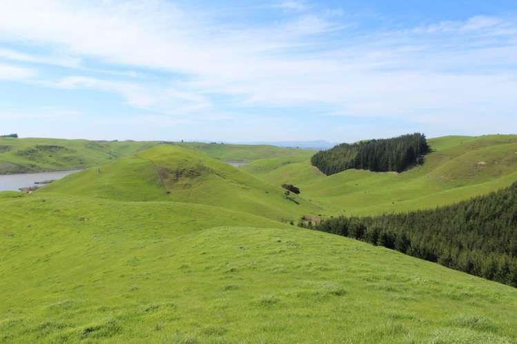 241 Awahuri Road Crownthorpe_2