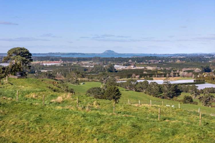263 Hot Springs Road Katikati_6