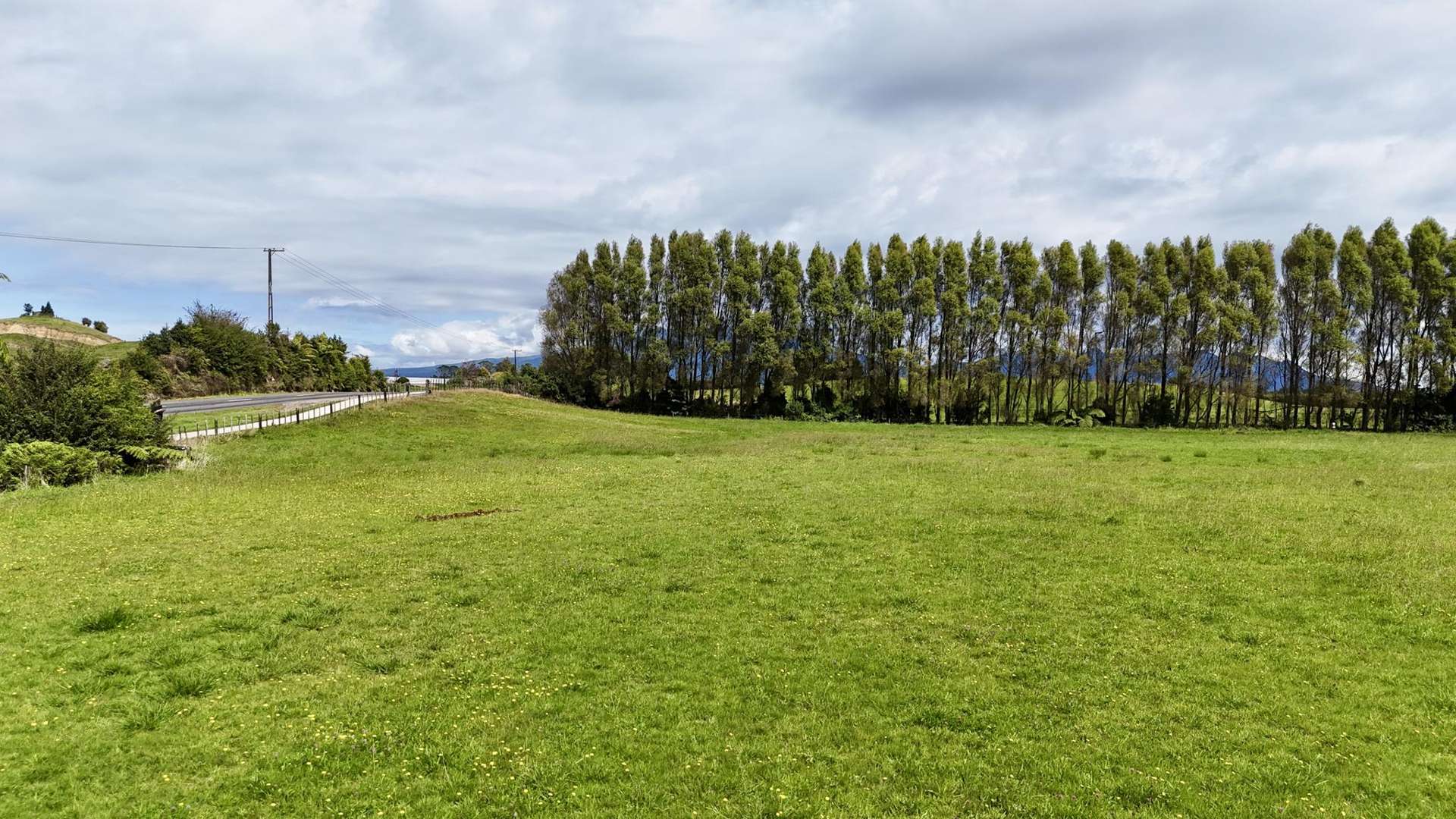 100 Dudley Road Upper Inglewood_0