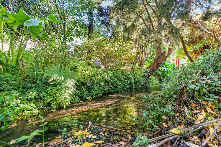 60 Cole Street Masterton_27