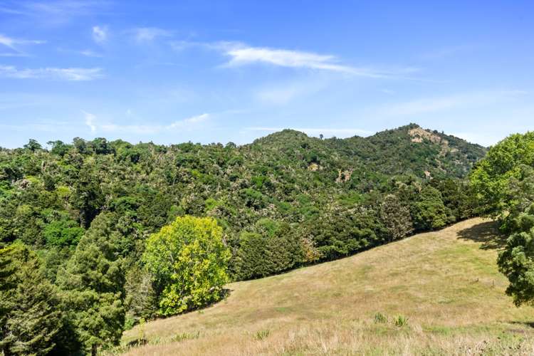 346 Kirikopuni Road Pakotai_23