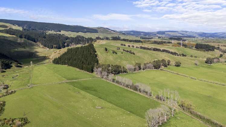 534 - 734 Fitzherbert Road East Aokautere_6