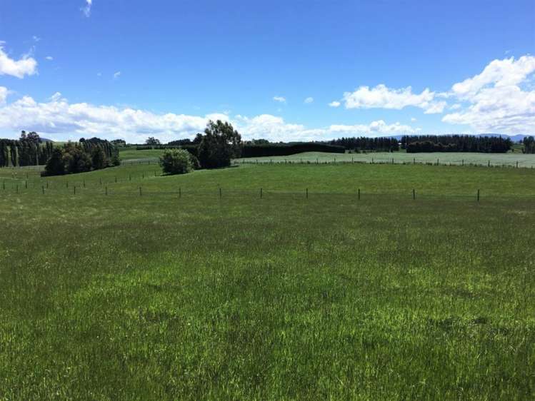 308 Waiwera Station Road Clinton and Surrounds_14