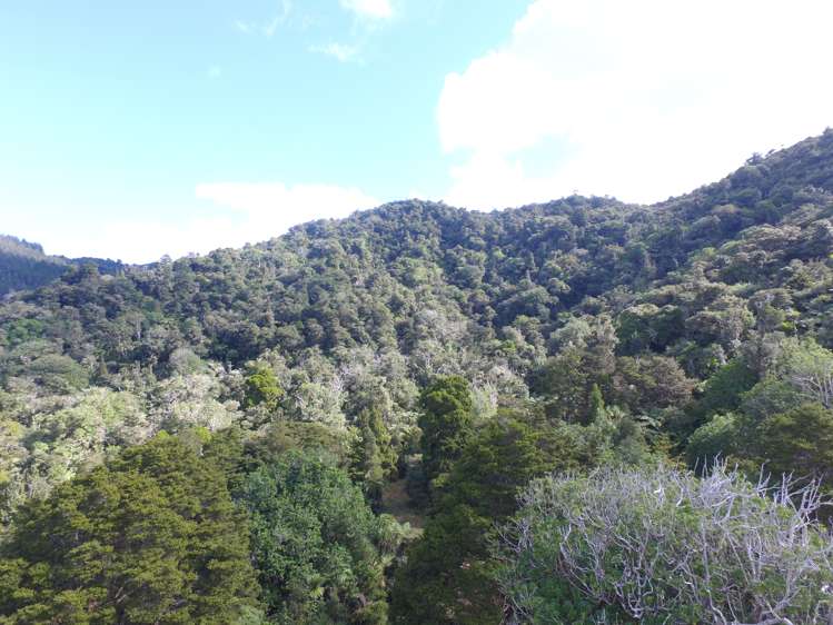 294 Munn Road Kaitaia_14