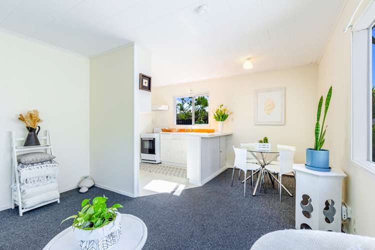 30 County Road Torbay_22