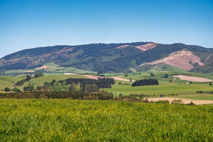 285 Greenvale Road Geraldine_8