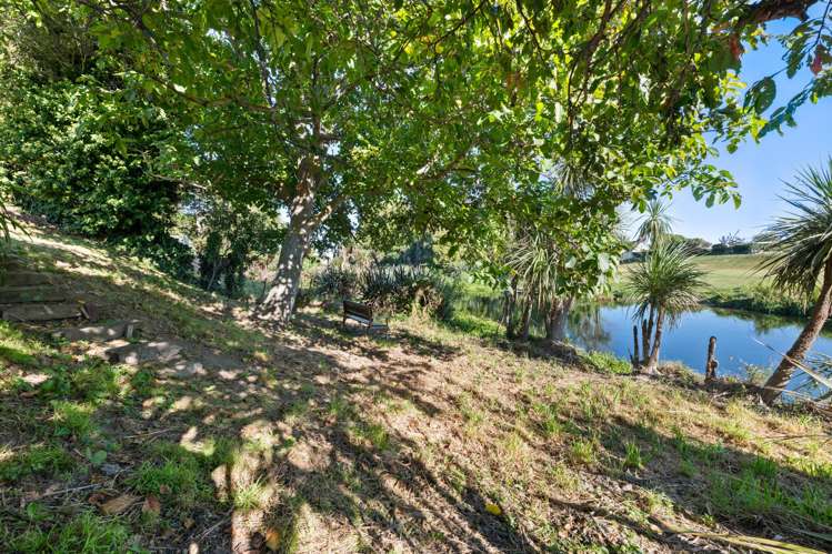 33 Park Terrace Blenheim Central_16