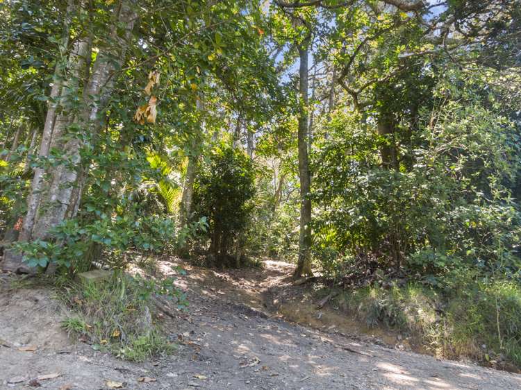 21 Wilma Road Ostend_5