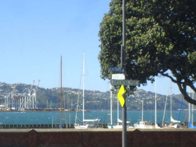2/82 Oriental Parade Oriental Bay_11
