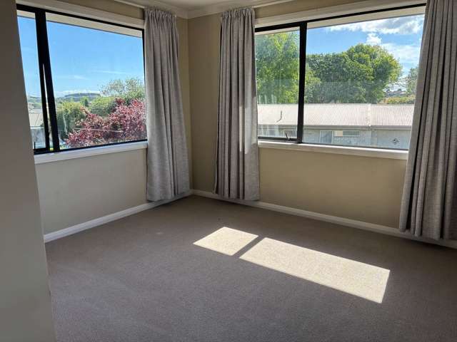 25A Cobham Drive Morrinsville_3