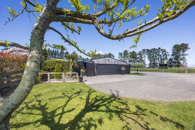 831 Halcombe Road Feilding_31