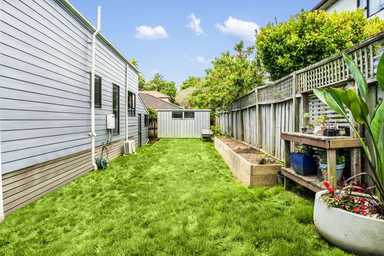 36a Haig Avenue Mount Roskill_17