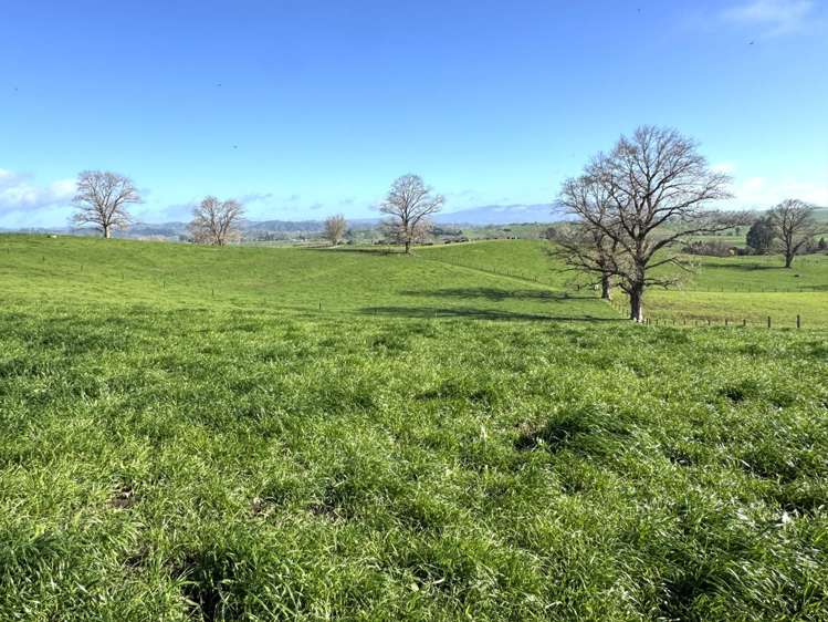 233B Kio Kio Station Road Otorohanga_20