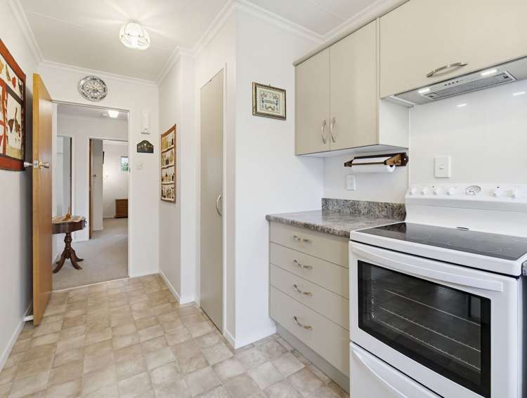 45 Dittmer Drive Awapuni_11