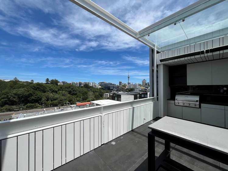 23 Falcon Street Parnell_7