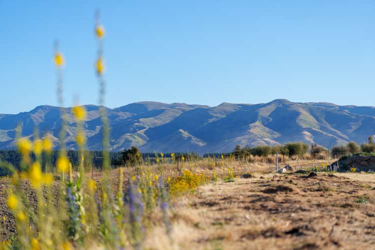 2 Jackson Rise Luggate_10