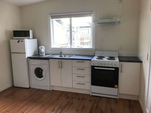 Large 1 bedroom house in Mt Vic