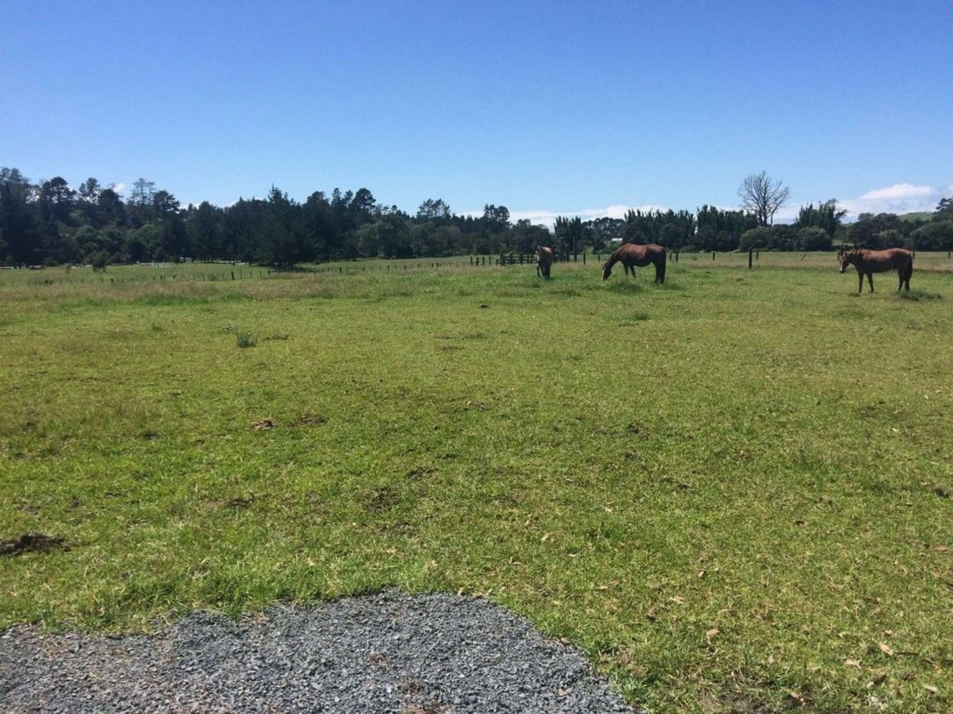 2 Lily Pond Lane Haruru_0