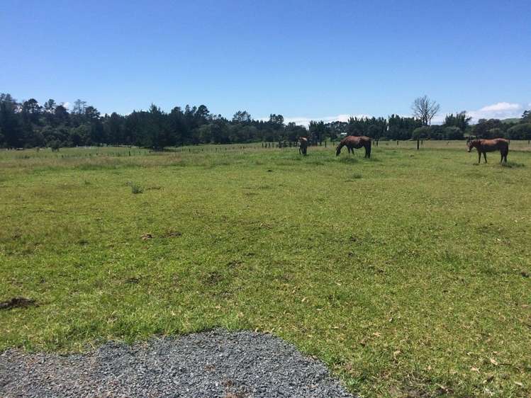 2 Lily Pond Lane Haruru_0