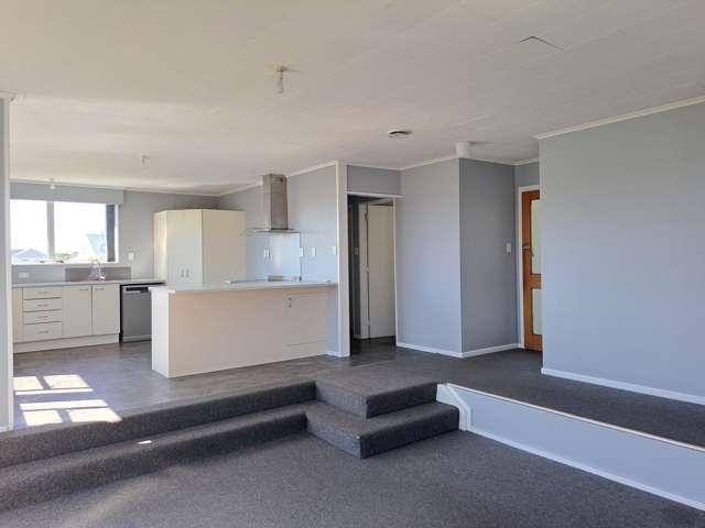 14 Grenville Street Levin_3