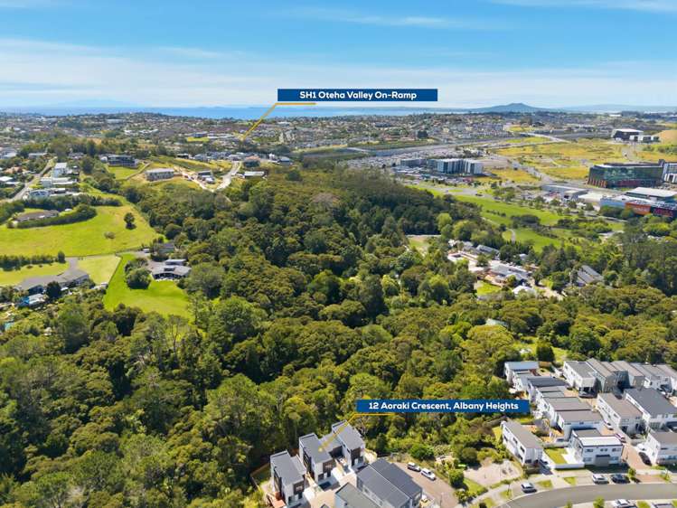 12 Aoraki Crescent Albany_32