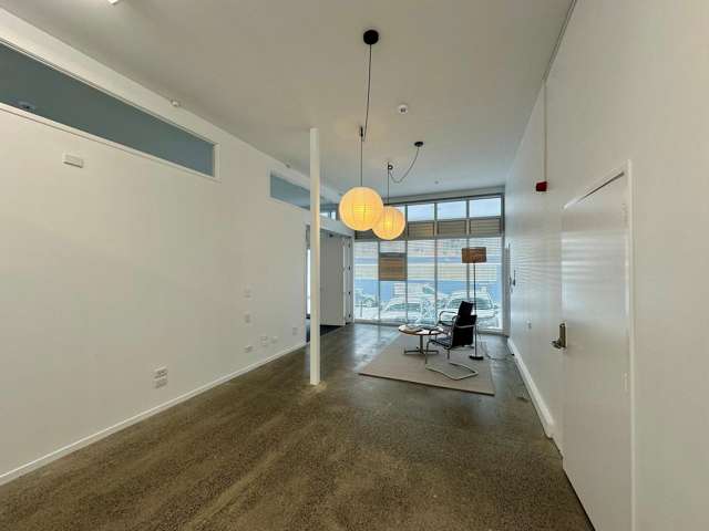 27 Dacre Street Eden Terrace_3