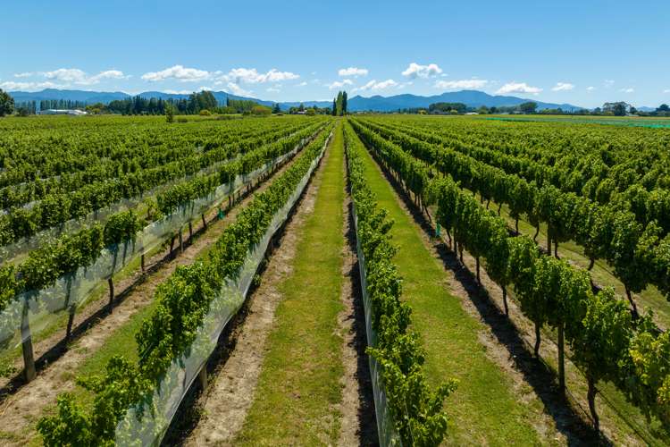 87 Dry Hills Lane Riverlands_19