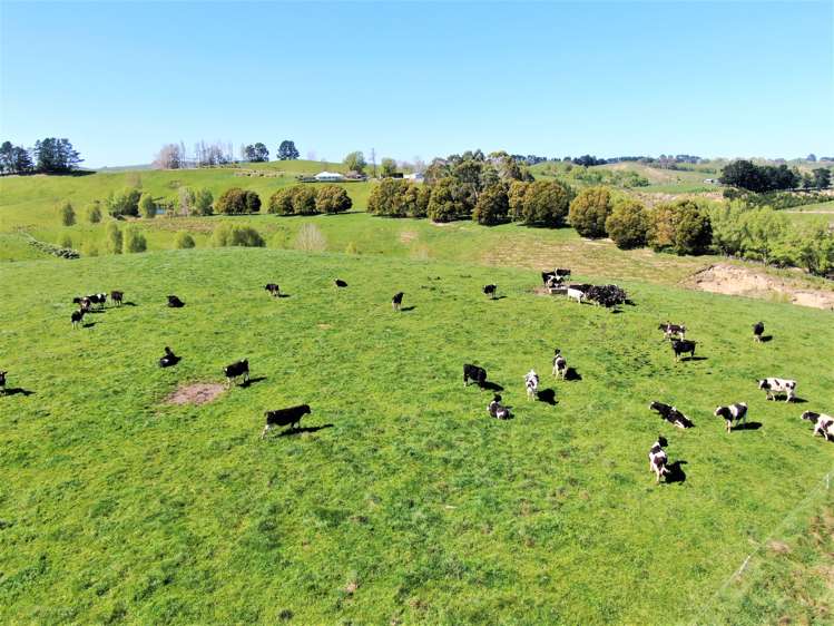 338 Te Awa Road Hawkes Bay_3